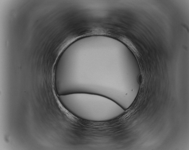 X0000098021439200803280743