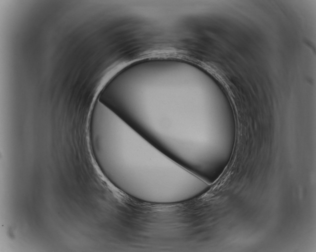 X0000098021440200803280743