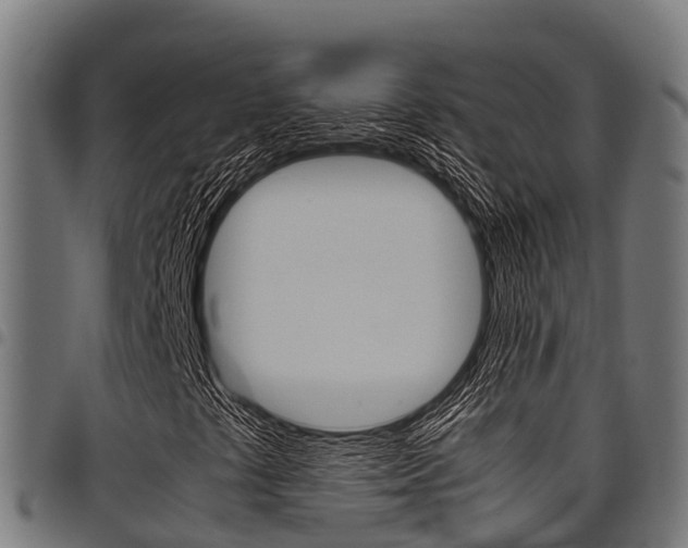 X0000098021441200803280743