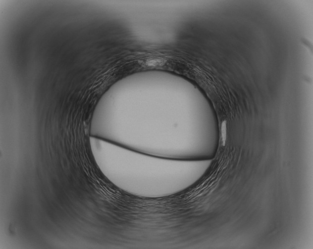 X0000098021443200803280743