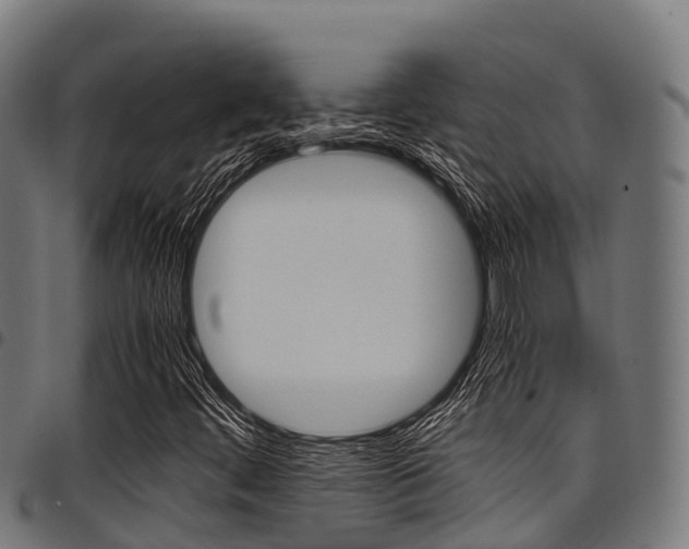 X0000098021444200803280743