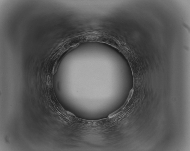 X0000098021445200803280743
