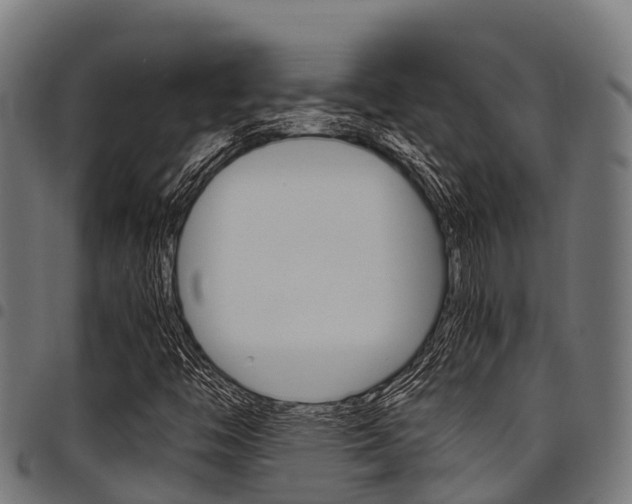 X0000098021446200803280743