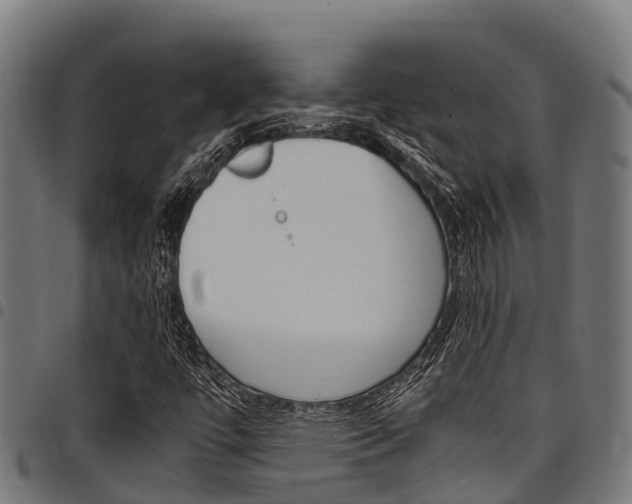 X0000098021447200803280743