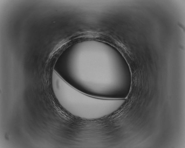 X0000098021448200803280743
