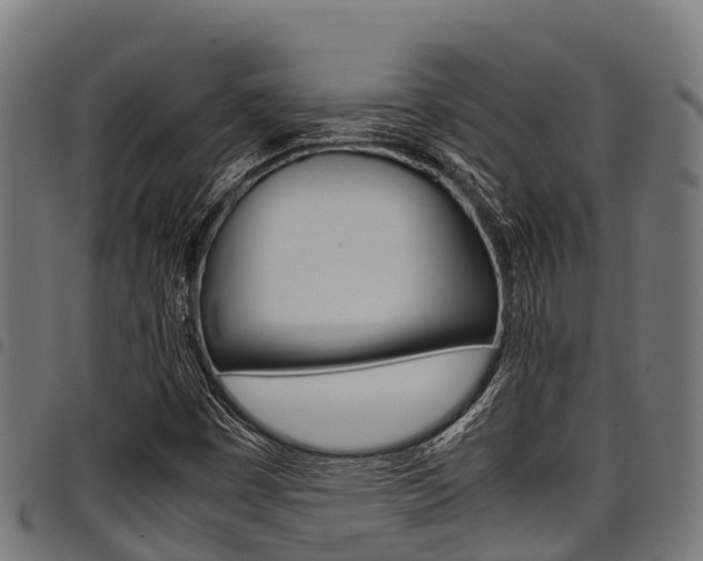 X0000098021449200803280743