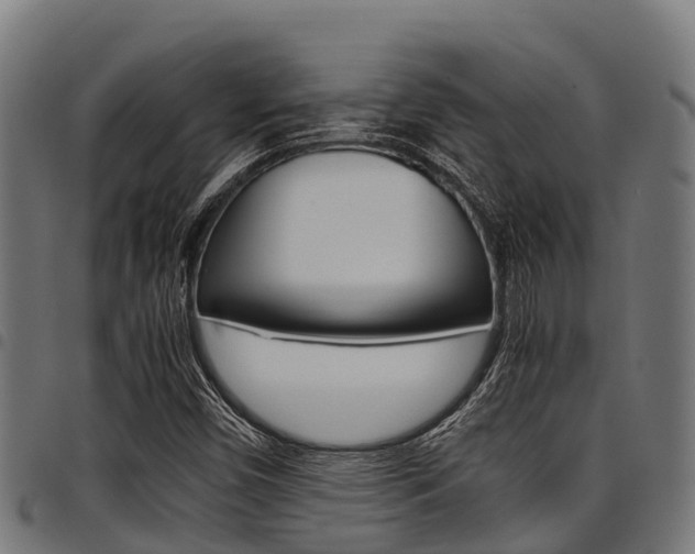X0000098021450200803280742