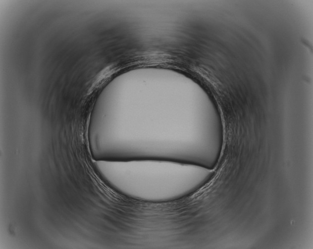 X0000098021451200803280742
