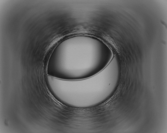 X0000098021452200803280742