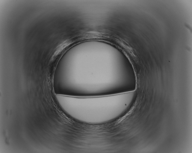X0000098021453200803280742