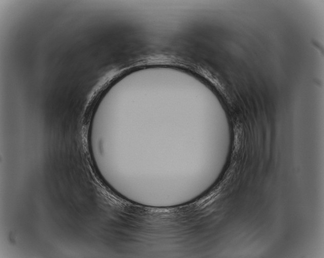X0000098021454200803280742