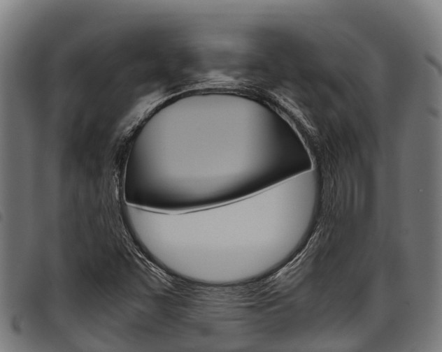 X0000098021455200803280742