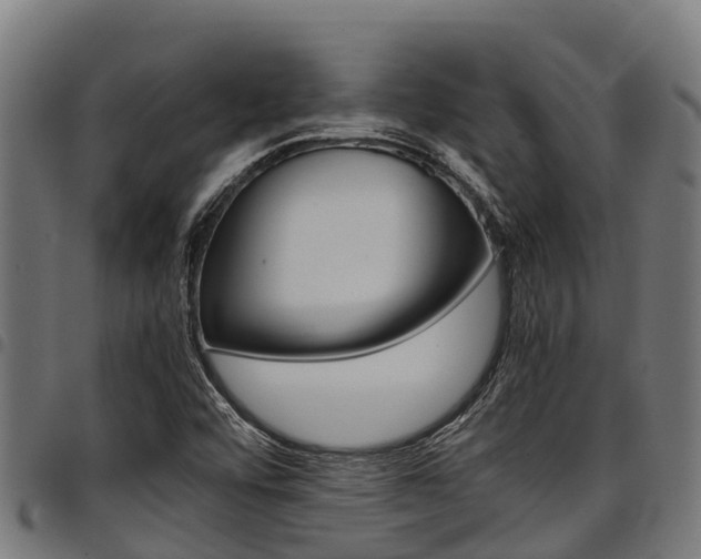 X0000098021456200803280742
