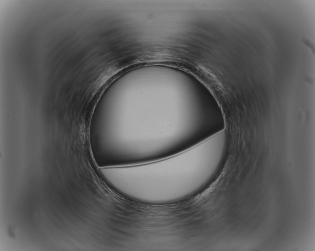 X0000098021457200803280742