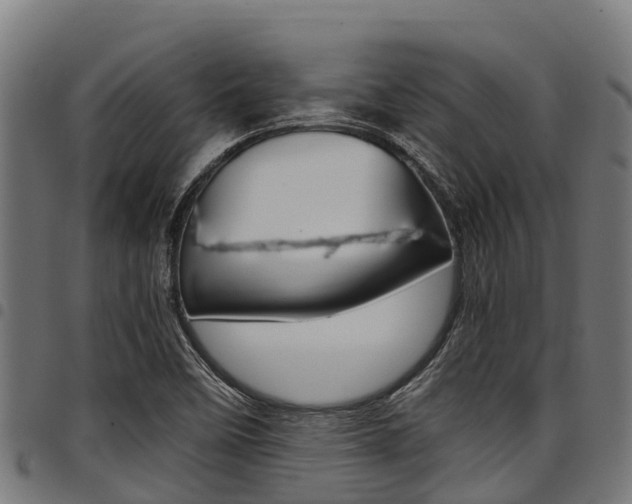 X0000098021458200803280742