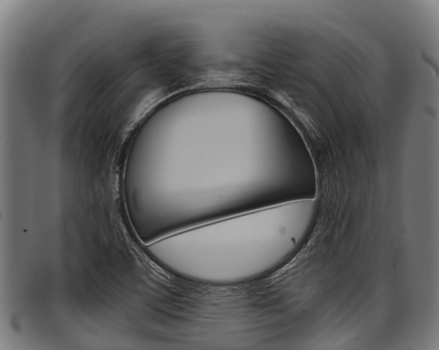 X0000098021459200803280742