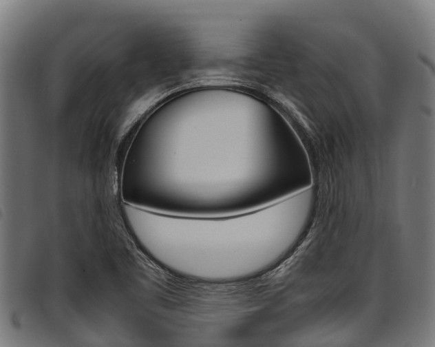 X0000098021461200803280742