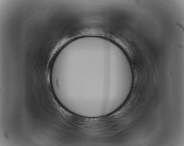 X0000098021462200803280742