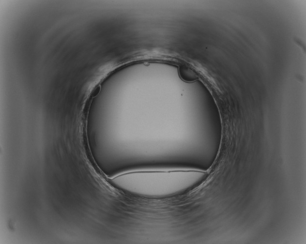 X0000098021463200803280742