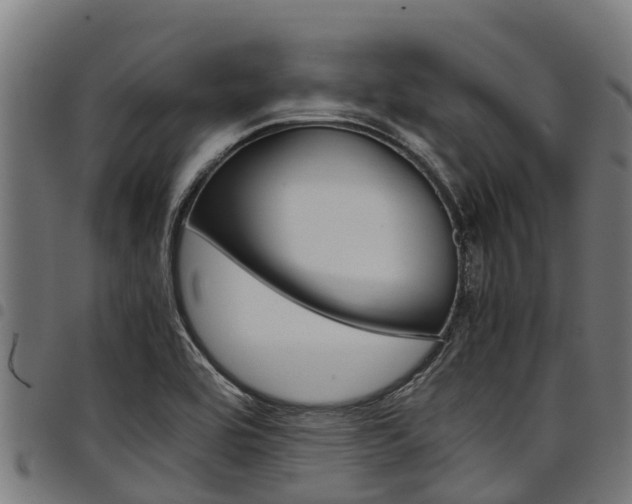 X0000098021464200803280742