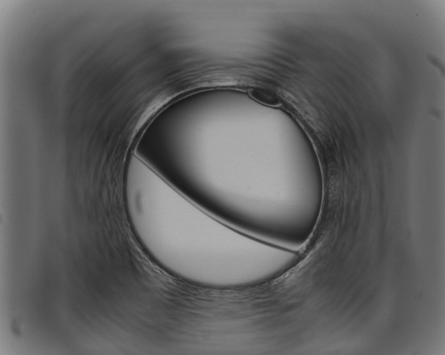 X0000098021465200803280742