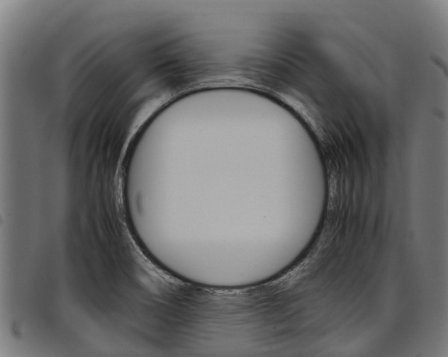 X0000098021466200803280742
