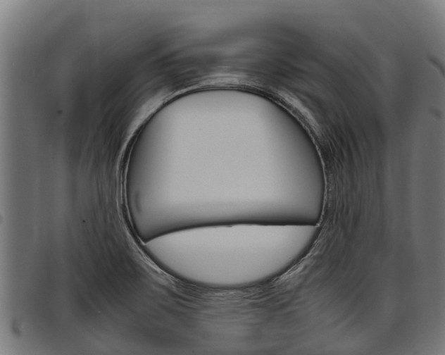 X0000098021467200803280742