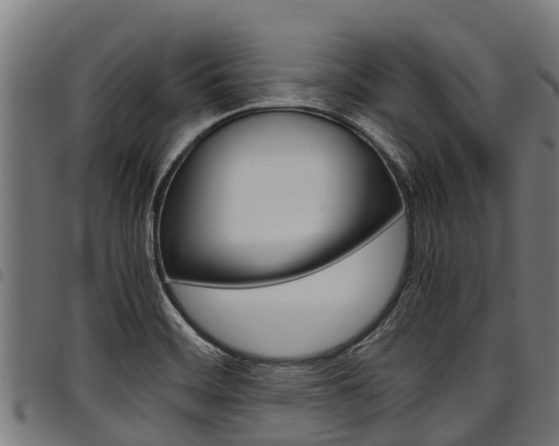 X0000098021468200803280742