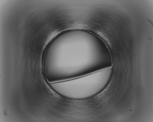 X0000098021469200803280742