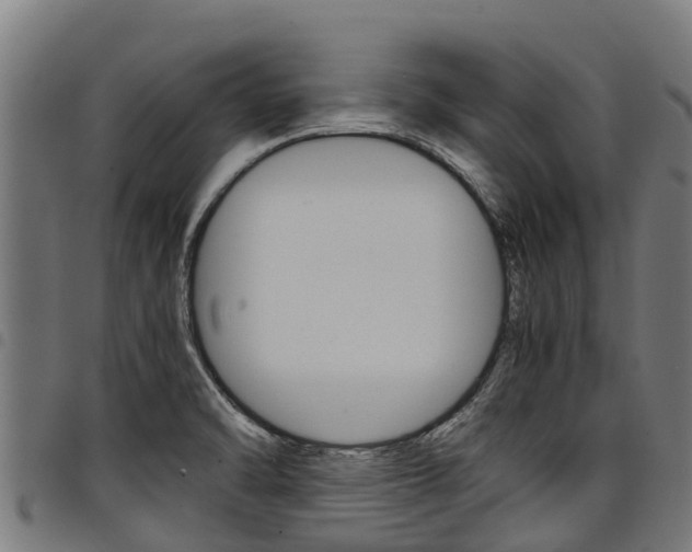 X0000098021470200803280742
