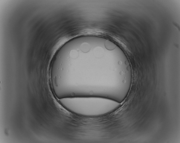 X0000098021471200803280742