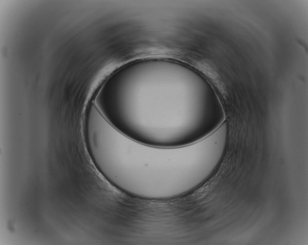 X0000098021472200803280742