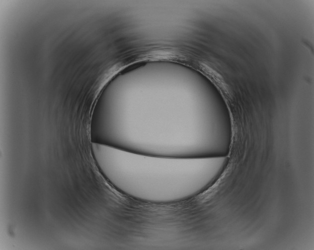 X0000098021473200803280742