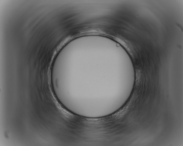 X0000098021474200803280742