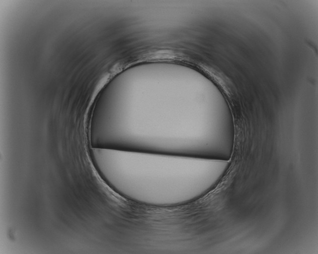 X0000098021475200803280742