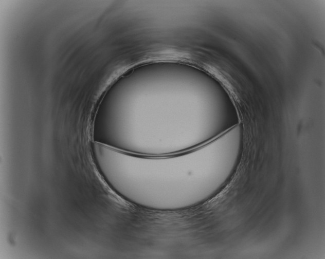 X0000098021477200803280742