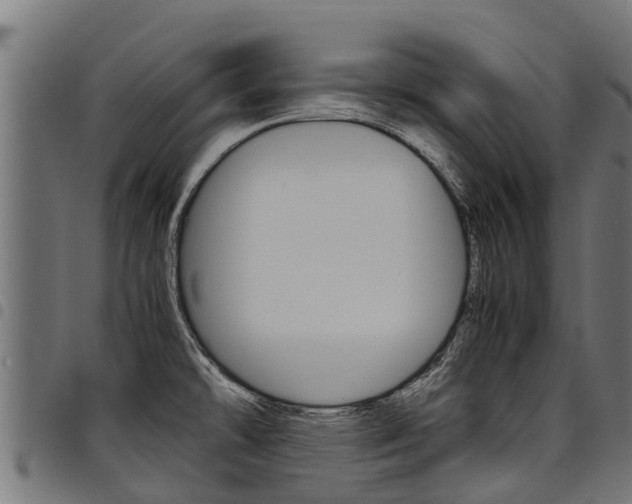 X0000098021478200803280742