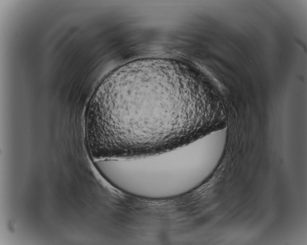 X0000098021479200803280742
