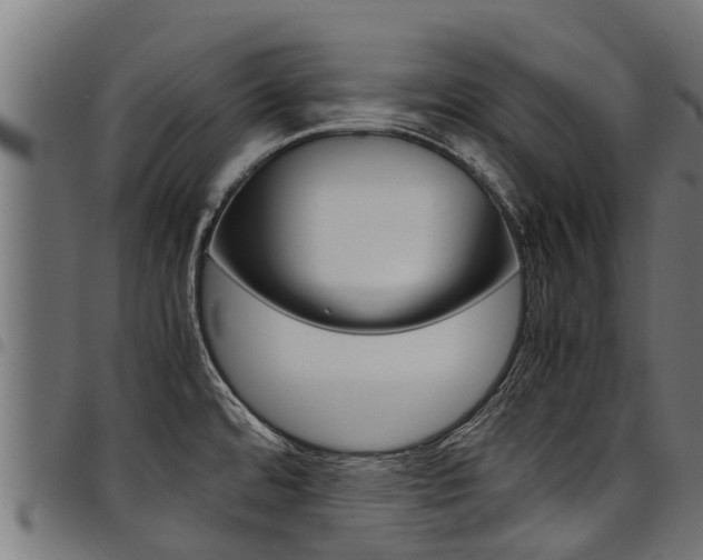 X0000098021480200803280742