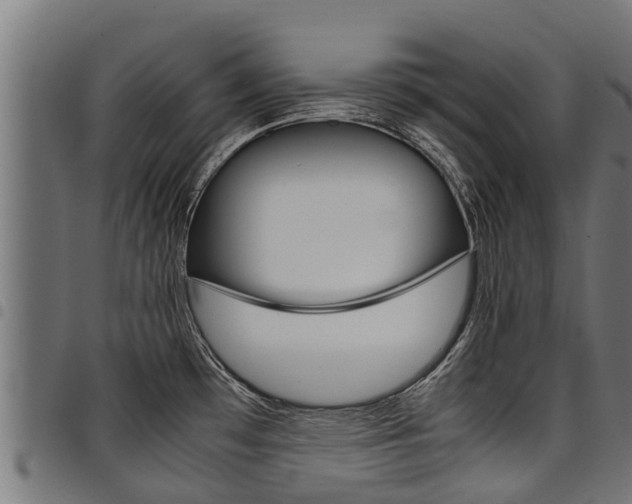X0000098021481200803280742