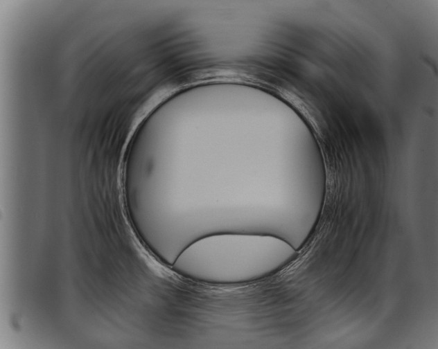 X0000098021482200803280742