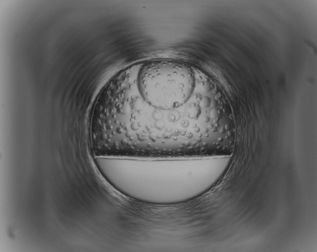 X0000098021483200803280742