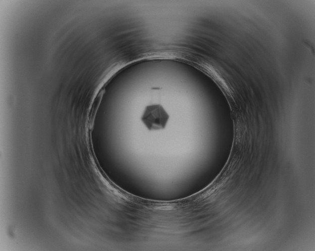 X0000098021484200803280742