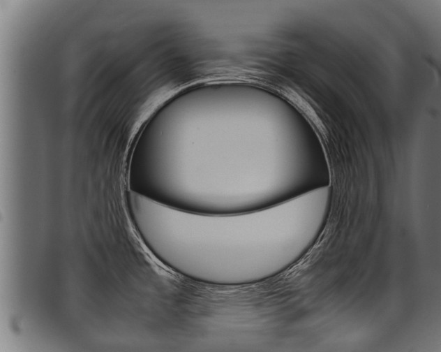 X0000098021485200803280742