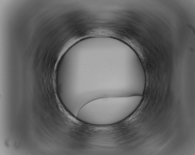 X0000098021486200803280742
