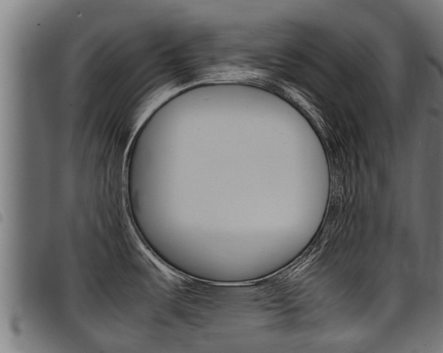 X0000098021487200803280742