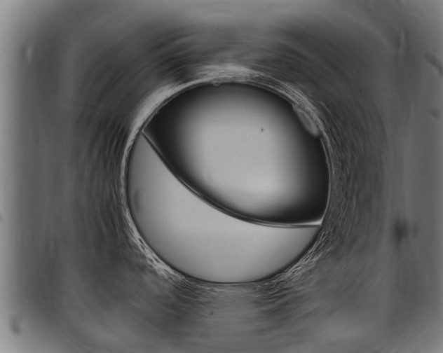 X0000098021488200803280742