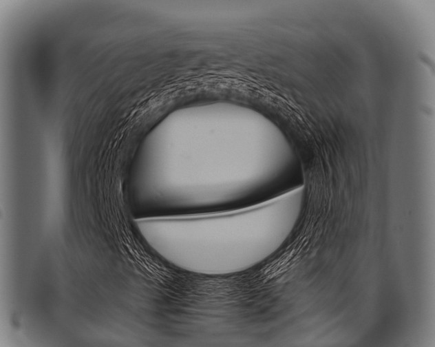 X0000098021489200803280741