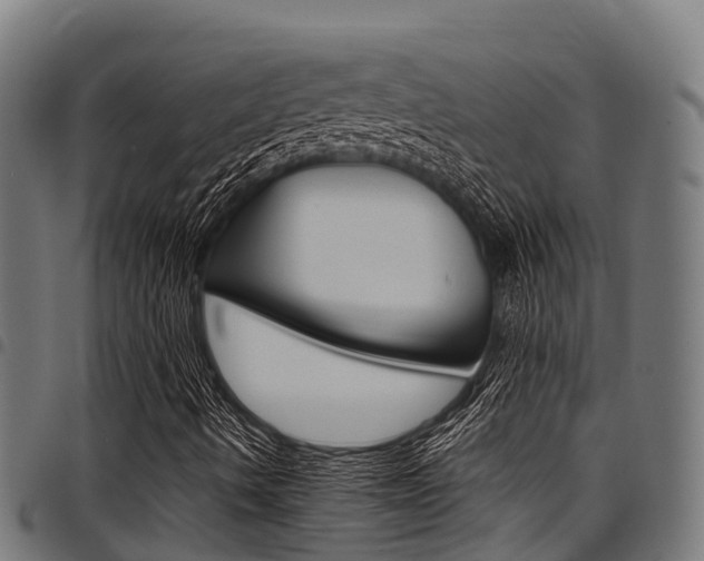 X0000098021490200803280741