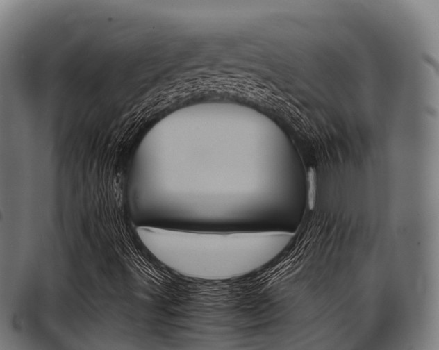 X0000098021491200803280741